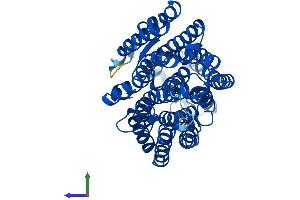 Protein Structure (PS) image for Mitochondrially Encoded NADH Dehydrogenase 4 (MT-ND4) (AA 1-459) protein (His tag) (ABIN7562734)