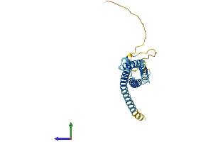Protein Structure (PS) image for CKLF-Like MARVEL Transmembrane Domain Containing 4 (CMTM4) (AA 1-208) protein (His tag) (ABIN7559387)