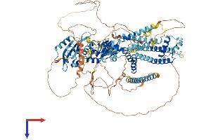 KCNH4 Protein (AA 1-1017) (His tag)