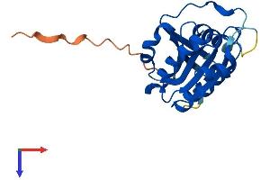 Protein Structure (PS) image for ADP-Ribosylation Factor-Like 16 (ARL16) (AA 1-197) protein (His tag) (ABIN7552301)