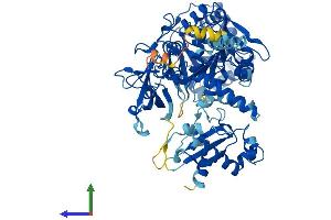 AlphaFold protein structure predicition of Human Recombinant ACSL1 Protein, UniprotID P33121