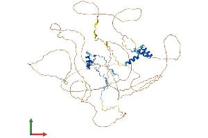 Protein Structure (PS) image for Nucleolar and Coiled-Body Phosphoprotein 1 (NOLC1) (AA 1-699) protein (His tag) (ABIN7554774)