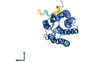 AlphaFold protein structure predicition of Mouse Recombinant Mmd Protein, UniprotID Q9CQY7