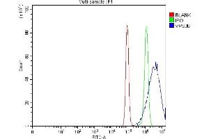 Flow Cytometry analysis of PC-3 cells using anti-VPS36 antibody (ABIN7599339). (VPS36 抗体  (AA 1-386))