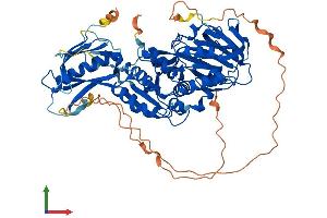 Protein Structure (PS) image for Sphingosine Kinase 2 (SPHK2) (AA 1-617) protein (His tag) (ABIN7561540)