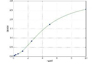A typical standard curve (RAC1 ELISA 试剂盒)