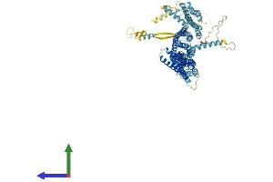 Protein Structure (PS) image for Component of Oligomeric Golgi Complex 3 (COG3) (AA 1-820) protein (His tag) (ABIN7559355)