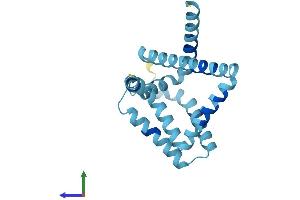 Protein Structure (PS) image for ADP-Ribosylation Factor-Like 6 Interacting Protein 1 (ARL6IP1) (AA 1-203) protein (His tag) (ABIN7552263)
