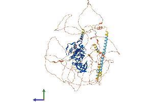 Protein Structure (PS) image for BMP2 Inducible Kinase (BMP2K) (AA 1-1138) protein (His tag) (ABIN7564829)
