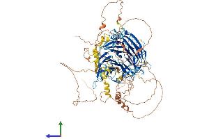 Protein Structure (PS) image for Breast Carcinoma Amplified Sequence 3 (BCAS3) (AA 1-928) protein (His tag) (ABIN7552576)
