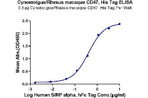 CD47 (CD47) (AA 19-141) protein (His tag)