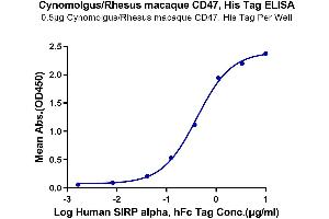 Immobilized Cynomolgus/Rhesus macaque CD47, His Tag at 5 μg/mL (100 μL/well) on the plate. (CD47 Protein (CD47) (AA 19-141) (His tag))