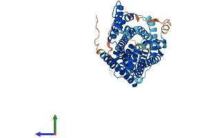 Protein Structure (PS) image for Solute Carrier Family 36 (Proton/amino Acid Symporter), Member 2 (SLC36A2) (AA 1-478) protein (His tag) (ABIN7558646)