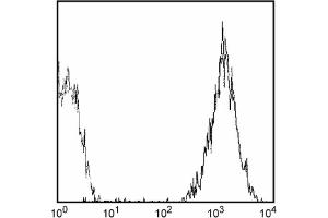 Flow Cytometry (FACS) image for anti-CD81 (CD81) antibody (PE) (ABIN2144973) (CD81 抗体  (PE))
