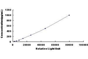 Typical standard curve (TGFB3 CLIA Kit)