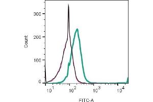anti-Immunoglobulin Superfamily, Member 8 (IGSF8) (AA 227-242), (Extracellular), (N-Term) antibody (FITC)