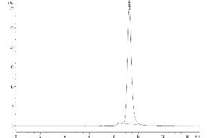 Size-exclusion chromatography-High Pressure Liquid Chromatography (SEC-HPLC) image for Apolipoprotein H (Beta-2-Glycoprotein I) (APOH) (AA 20-345) protein (His tag) (ABIN7273858)