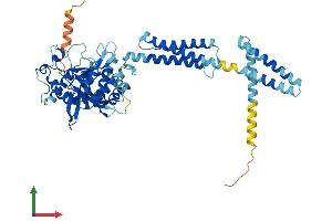 Protein Structure (PS) image for Atlastin GTPase 3 (ATL3) (AA 1-541) protein (His tag) (ABIN7552422)