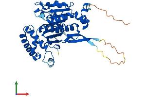 Protein Structure (PS) image for SUMO1 Activating Enzyme Subunit 1 (SAE1) (AA 1-350) protein (His tag) (ABIN7556227)