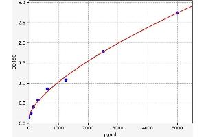H2A Histone Family, Member X (H2AFX) ELISA Kit
