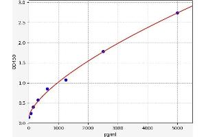 Typical standard curve (H2AFX ELISA 试剂盒)