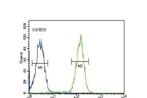 SLC9A3R1 Antibody (Center) (ABIN652034 and ABIN2840508) flow cytometric analysis of MDA-M cells (right histogram) compared to a negative control cell (left histogram). (SLC9A3R1 抗体  (AA 168-197))