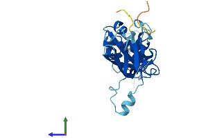 Protein Structure (PS) image for Cytochrome B5 Domain Containing 1 (CYB5D1) (AA 1-228) protein (His tag) (ABIN7557486)