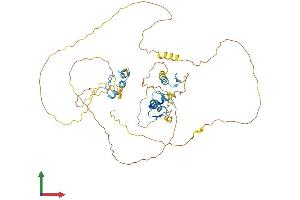 Protein Structure (PS) image for Insulinoma-Associated 2 (INSM2) (AA 1-493) protein (His tag) (ABIN7561702)
