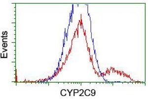 HEK293T cells transfected with either RC220997 overexpress plasmid (Red) or empty vector control plasmid (Blue) were immunostained by anti-CYP2C9 antibody (ABIN2455183), and then analyzed by flow cytometry. (CYP2C9 抗体)