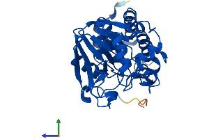 AlphaFold protein structure predicition of Mouse Recombinant Ppp6c Protein, UniprotID Q9CQR6