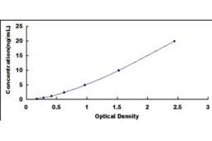 Typical standard curve (POR ELISA 试剂盒)