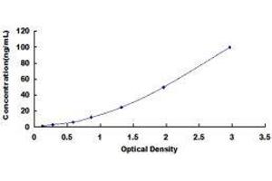 ELISA image for Vitamin K-dependent protein C (PROC) ELISA Kit (ABIN416457)