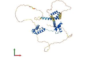 Protein Structure (PS) image for Paired Box 6 (PAX6) (AA 1-422) protein (His tag) (ABIN7556635)