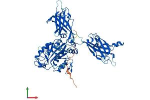 Protein Structure (PS) image for Copine II (CPNE2) (AA 1-548) protein (His tag) (ABIN7556540)