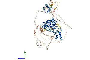Protein Structure (PS) image for Zinc Finger CCCH-Type Containing 12A (ZC3H12A) (AA 1-599) protein (His tag) (ABIN7556063)