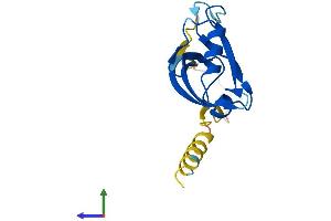 AlphaFold protein structure predicition of Human Recombinant SYNJ2BP Protein, UniprotID P57105
