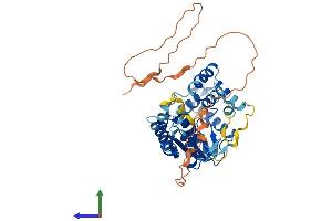 Protein Structure (PS) image for Cytosolic Thiouridylase Subunit 1 Homolog (CTU1) (AA 1-420) protein (His tag) (ABIN7560293)