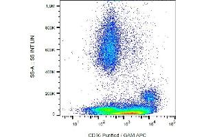 Flow cytometry analysis (surface staining) of CD36 in human peripheral blood with anti-CD36 (CB38) purified, GAM-APC. (CD36 抗体)