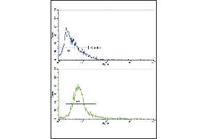 Flow Cytometry (FACS) image for anti-ATP-Binding Cassette, Sub-Family C (CFTR/MRP), Member 1 (ABCC1) (AA 1247-1275), (C-Term) antibody (ABIN390525)