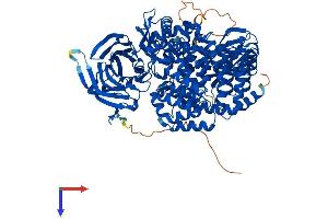 ERAP1 Protein (AA 1-930) (His tag)