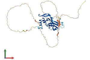 Protein Structure (PS) image for T-Box 10 (TBX10) (AA 1-385) protein (His tag) (ABIN7544296)