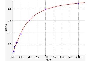Typical standard curve (DNAJB8 ELISA 试剂盒)