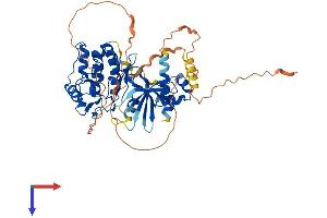 AlphaFold protein structure predicition of Mouse Recombinant Smok2b Protein, UniprotID Q9QYZ3