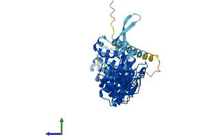 Protein Structure (PS) image for Ankyrin Repeat and SOCS Box Containing 16 (ASB16) (AA 1-453) protein (His tag) (ABIN7552346)