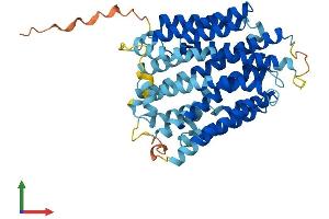 Protein Structure (PS) image for Solute Carrier Family 46 (Folate Transporter), Member 1 (SLC46A1) (AA 1-459) protein (His tag) (ABIN7554916)