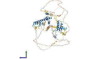 Protein Structure (PS) image for RAD21 Homolog (RAD21) (AA 1-635) protein (His tag) (ABIN7563921)
