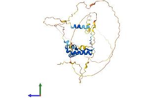 Protein Structure (PS) image for SRY (Sex Determining Region Y)-Box 7 (SOX7) (AA 1-388) protein (His tag) (ABIN7546258)