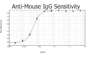 ELISA results of purified Goat anti-Mouse IgG Antibody Biotin Conjugated tested against purified Mouse IgG. (山羊 anti-小鼠 IgG (Heavy & Light Chain) Antibody (Biotin) - Preadsorbed)