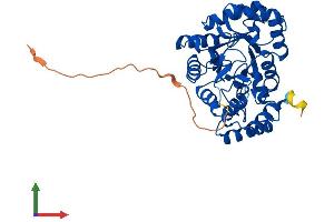 Protein Structure (PS) image for Potassium Voltage-Gated Channel, Shaker-Related Subfamily, beta Member 2 (KCNAB2) (AA 1-367) protein (His tag) (ABIN7554260)