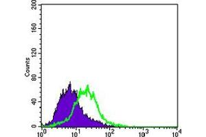 Flow cytometric analysis of PACN-1 cells using KRT15 mouse mAb (green) and negative control (purple). (KRT15 抗体)